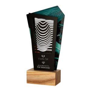 Custom made trophy for Diamonds “Top Industry”